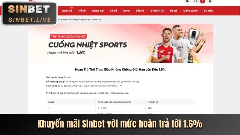 Chương trình VIP 1xBet